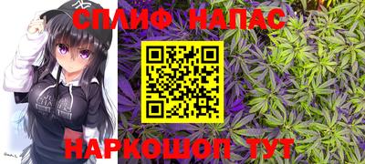 молекула духа Пушкино