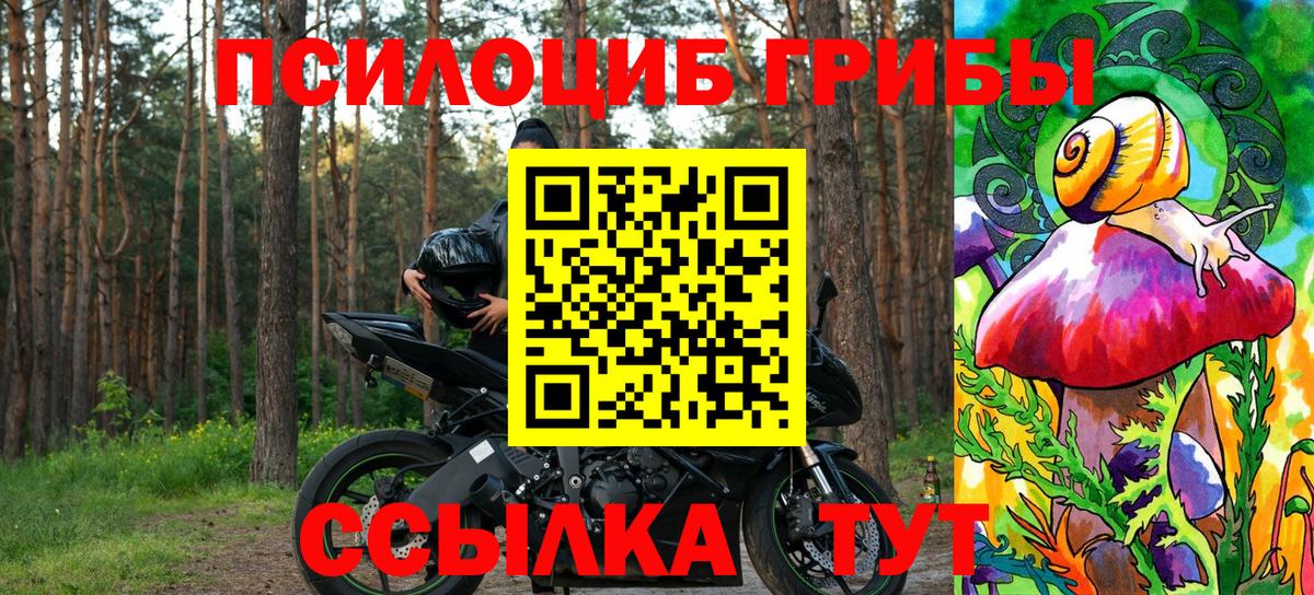 Азнакаево  Псилоцибиновые грибы Psilocybe  Вход с VPN 