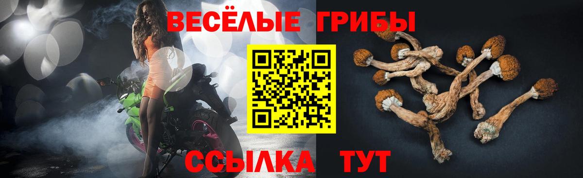 Псилоцибиновые грибы GOLDEN TEACHER Азнакаево